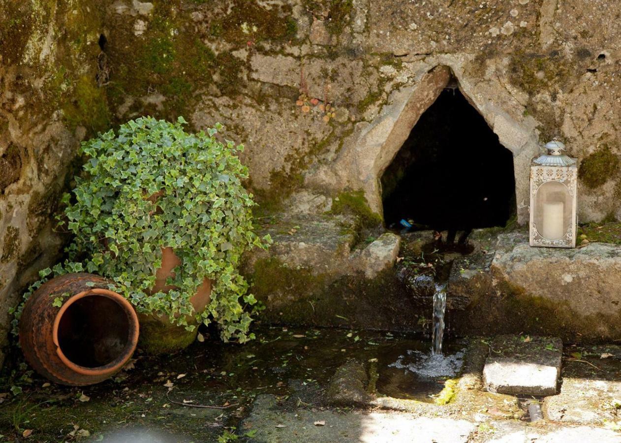 Jardines Pazo A Fabrica Pension Celanova Buitenkant foto