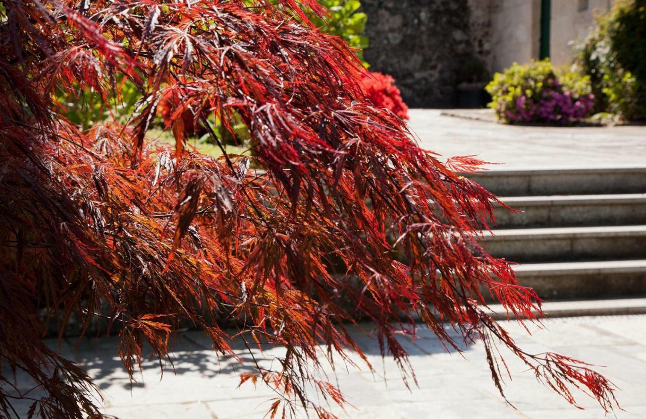 Jardines Pazo A Fabrica Pension Celanova Buitenkant foto